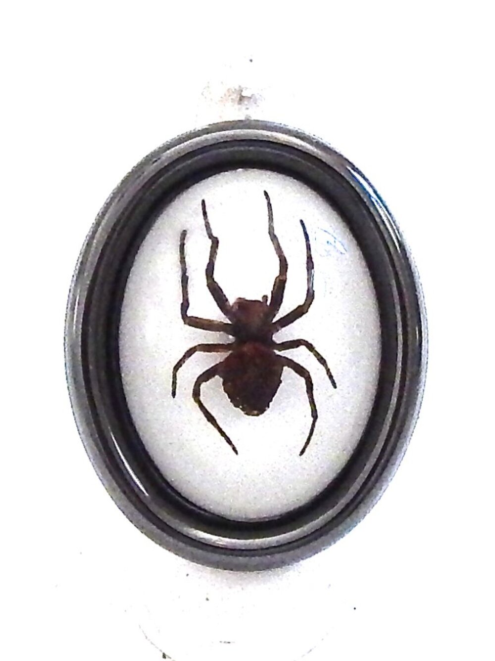 GASOLINE GLAMOUR GHOST SPIDER RING 🕷️🕸️👻
